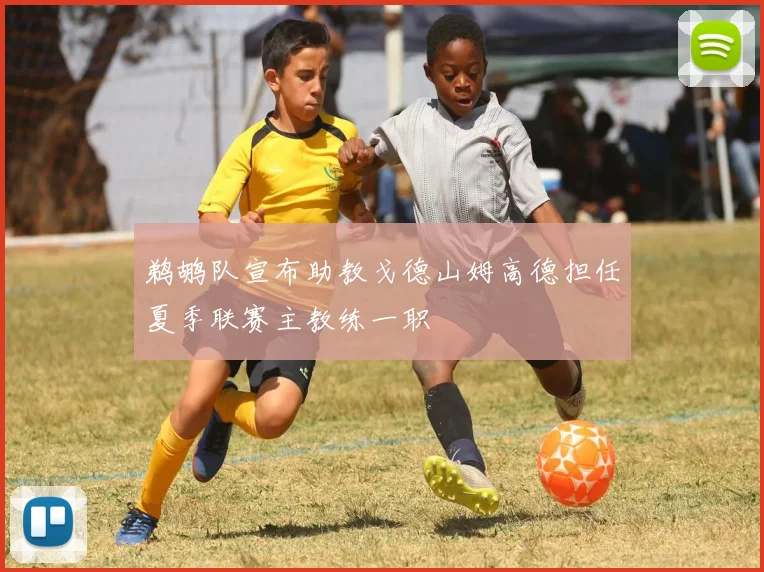 鹈鹕队宣布助教戈德山姆高德担任夏季联赛主教练一职